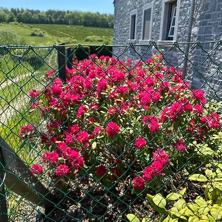 Contemporary In With Private Pool Villa