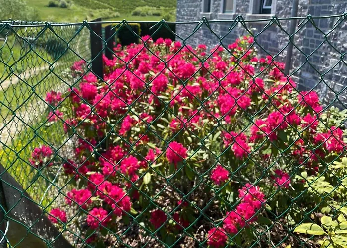 Contemporary In With Private Pool Villa